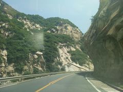 -王顺山国家森林公园