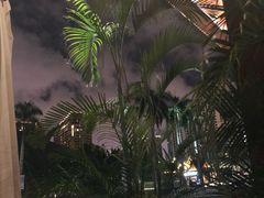 -三亚湾红树林度假酒店美食街