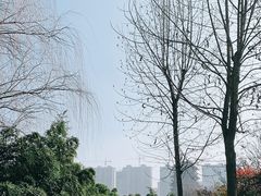 -西安汉城湖景区