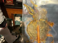 -三号黄浦会Canton Table