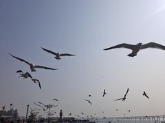 -星海广场