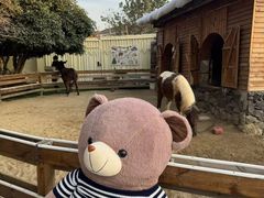 -HERRE·FARM 赫尔露营农场·团建聚会包场