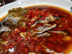 -喜乐堂(新华西路店)