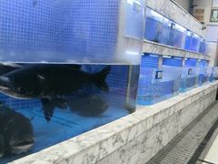 -香山湖渔家大院