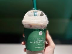 海红山楂酸奶奶昔-茉酸奶(春熙路店)