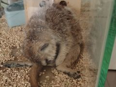 -平行世界·猫咖(首经贸店)