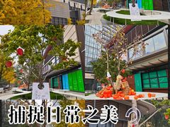 -凤凰汇购物中心