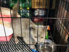 -陆记牛庄·碳锅龙虾烧烤(爱上花园店)