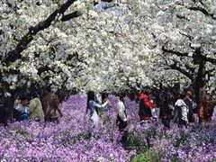 -江苏三台山国家森林公园