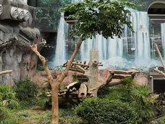 -石排湾郊野公园