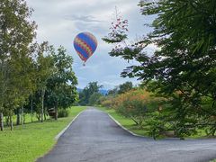 -西双版纳原始森林公园