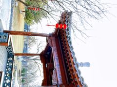 -三里河公园
