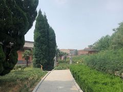 -洛阳古墓博物馆