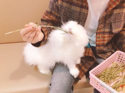 -Moni星球萌宠·小马宝莉·灵蛇·高端高阶全萌宠互动体验俱乐部(红豆国际广场店)