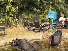 -HERRE·FARM 赫尔露营农场·团建聚会包场