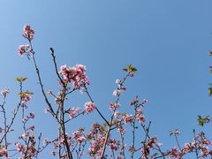 -小南山公园