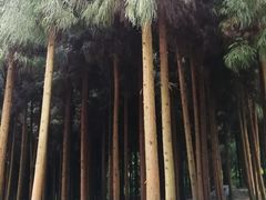-太阳湾风景区