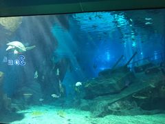 -福州罗源湾海洋世界旅游区