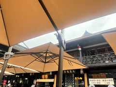 -成都市活水公园