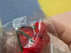 -同仁四季椰子鸡(海岸城天利店)