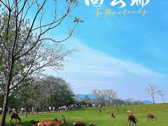 -良渚古城遗址公园