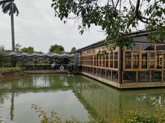 -花溪雨·森林餐厅(石基店)
