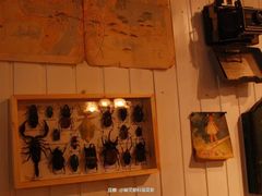 -大水的店(昙华林店)