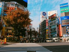-涩谷区
