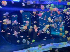 -海合安青岛极地海洋公园