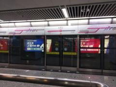 -大龙山(地铁站)