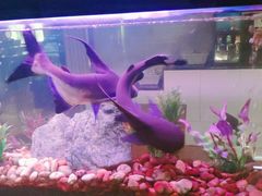 -水立方国际汤泉(六一中路店)