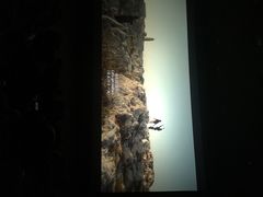 UME国际影城(安贞店)-UME影城(安贞DTS:X店)