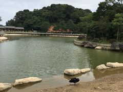 -广州市帽峰山景区