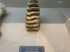-重庆中国三峡博物馆(重庆博物馆)