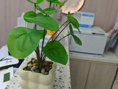 -雅仕口腔(后沙峪店)