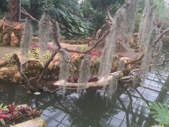 -南通洲际绿博园