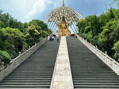 -东部华侨城