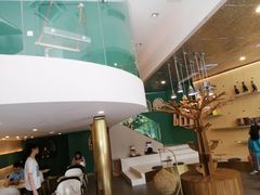 -飞行喵MR PILOT|猫舍·猫咖(静安大融城店)