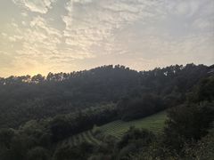 -敬亭山风景名胜区