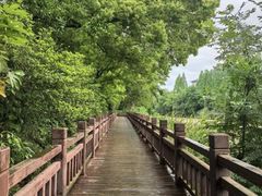 -潜山国家森林公园