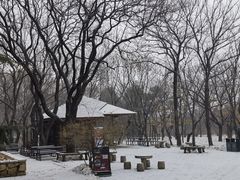 -北京植物园南门售票处