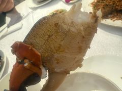 -喜记避风塘炒辣蟹(旗舰店)