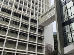 -香港大学