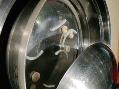 -煲大王猪肚鸡·椰子鸡火锅(红谷滩万达店)