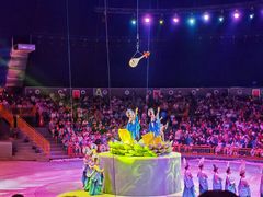 -中国马镇舞马世界主题乐园