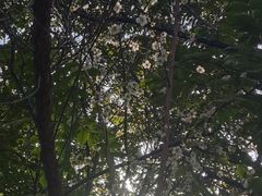 -金山公园