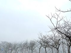 -大连海之韵公园