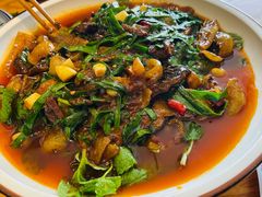 -滇铺子·云南特色菜·第九届野生菌美食节(东风东路c86店)