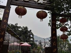 -先机泉水鸡汤(南山老君洞店)
