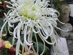 -汇龙潭